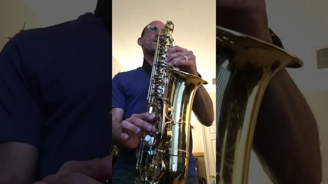 Tutorial si una vez Selena Manny Manuel en merengue saxofón смотреть онлайн