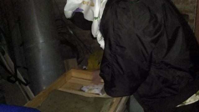 ЕДЕМ ПОДКОРМИТЬ ПЧЁЛ В ДЕРЕВЯННЫХ УЛЬЯХ смотреть онлайн