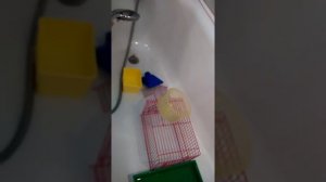 Чистка клетки. Моем клетку для поивления хомяка