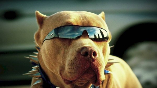 Salvador & KDVRA - Rolling