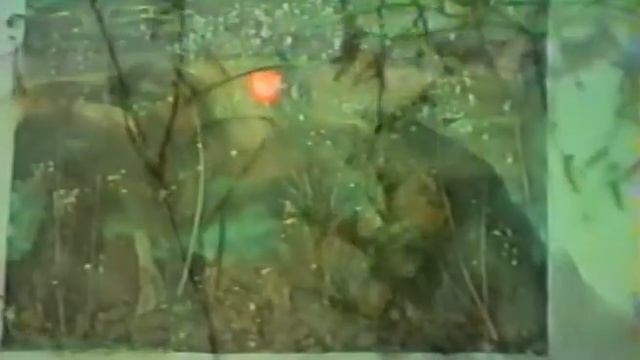 1994 Мегион