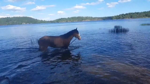 Дадуся-бегемот смотреть онлайн