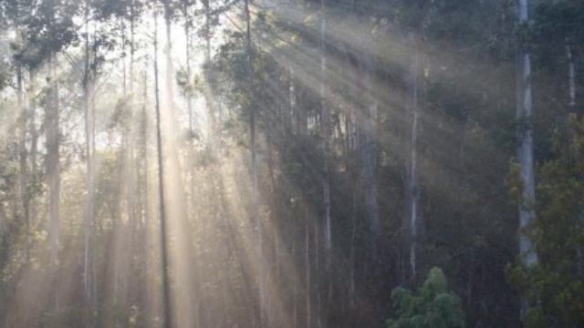 Relax And Energize To Reiki Music And The Wonders Of Nature смотреть онлайн