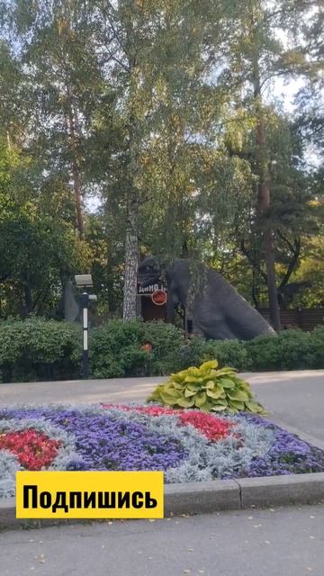 Динозавры в Новосибирском зоопарке смотреть онлайн