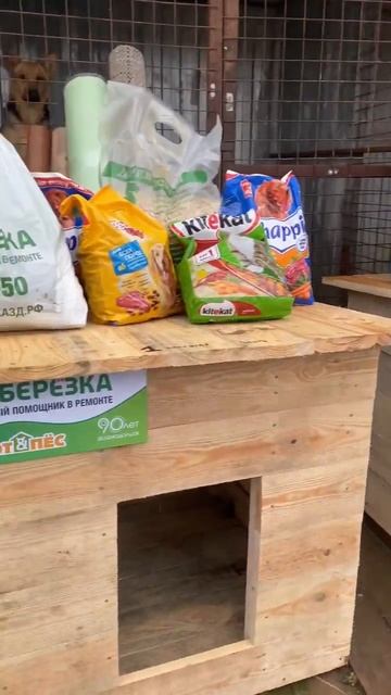 Приют животных смотреть онлайн