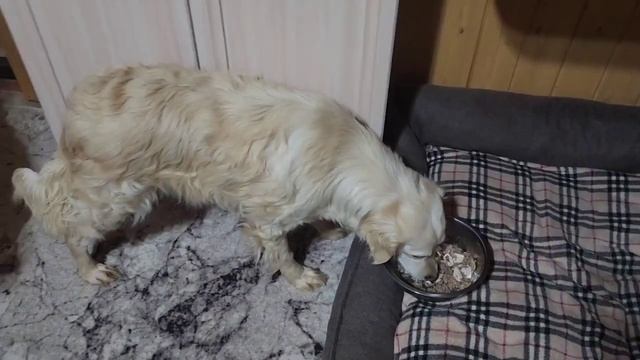 Буся. Учимся жить заново. смотреть онлайн