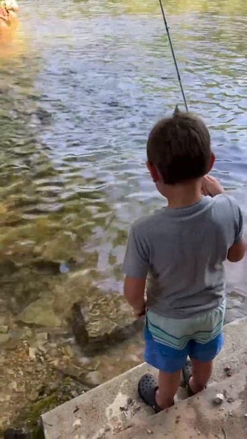 Little kid fly fishing for GIANT Rainbow trout! #shorts #fish #trout #trend #viral смотреть онлайн