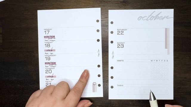 PLAN WITH ME | 17-23 October 2022 | Kikki K Signature B6 Ring Planner смотреть онлайн