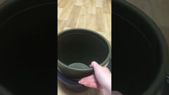 VID VEDRO смотреть онлайн