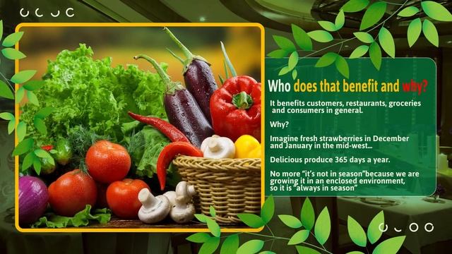 Terra Firma Commercial смотреть онлайн