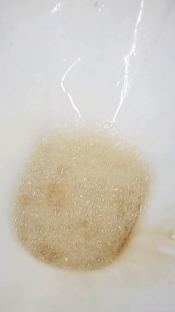 #shorts Experiment Coca cola & Mentos in the Toilet #8 смотреть онлайн