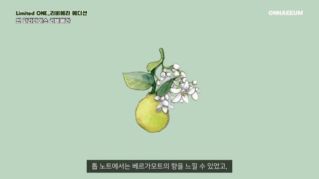 엑스 니힐로 향수 한정판 🌴 | 인 파라다이스 리비에라, 러스트 인 파라다이스랑 뭐가 달라? 프랑스 해안의 뜨겁고 아름다운 오후를 담은 리미티드 에디션 [Limited ONE] смотреть онлайн