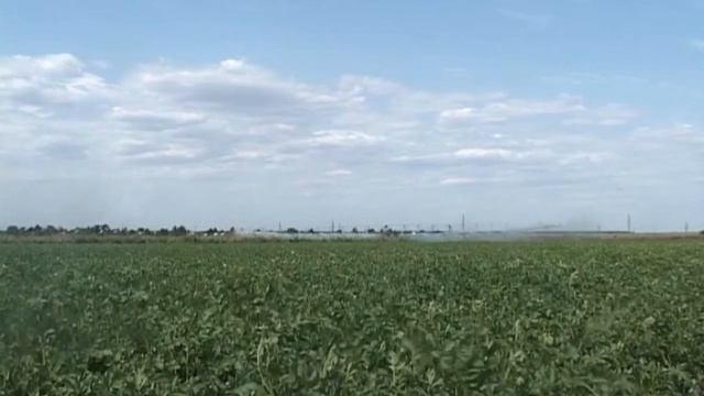 Аппаратка по вопросам агропромышленного комплекса Костанайской области смотреть онлайн