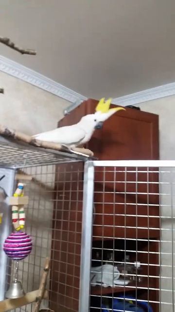 Катюша в комнате до ремонта смотреть онлайн