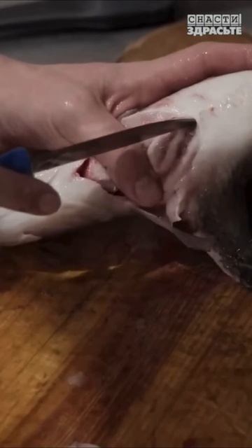 Шеф-повар Колек к вашим услугам #снастиздрасьте смотреть онлайн