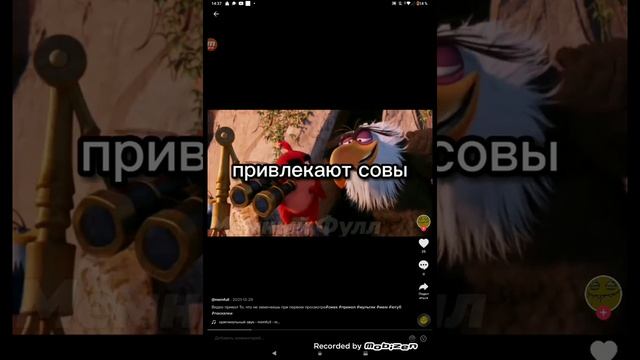 тик ток делимся видео смотреть онлайн