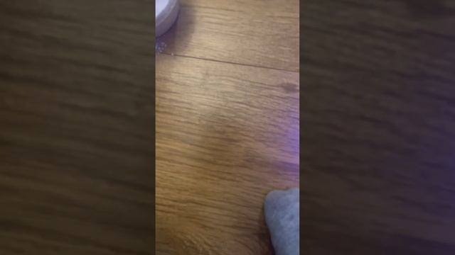 человеческий палец, ватная палочка и кальций моей ящерицы под микроскопом