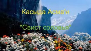 Касыда аль Асма'и   Свистящий свист соловья