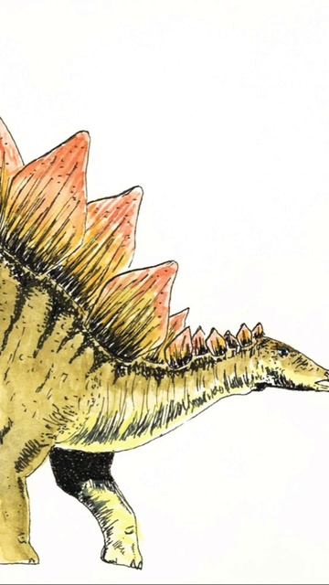 The Master of Spikes- Stegosaurus #shorts #dinosaurs #facts смотреть онлайн