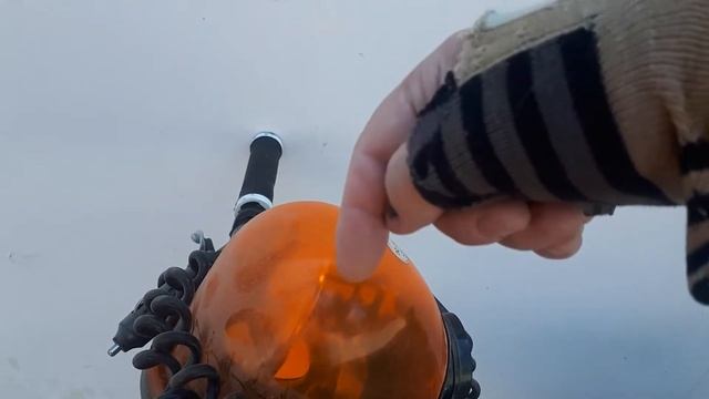 СПЕЦ ТРАНСПОРТ ЕНОТИКОВ и фото любимицы Егора Флобера 😉 18+