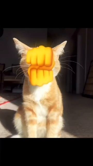 :] смотреть онлайн