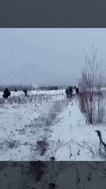 «Н***я прилетели в кусты вон» — в Хабаровском крае АН-24 во время старта взлетел в ̶н̶е̶б̶о̶ лес смотреть онлайн