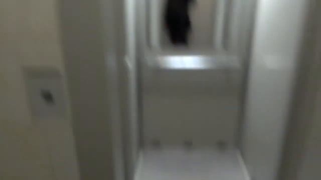 Электрический лифт ЩЛЗ V=1,6 м/с, Q=400 кг. (91)