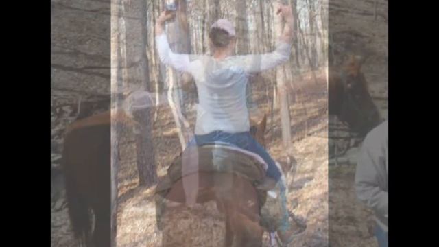 My QH Jack - Safe by Miranda Lambert смотреть онлайн