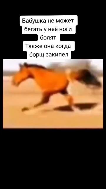 кто такую лошадь видел? смотреть онлайн