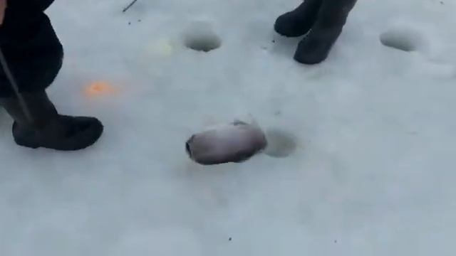 18 февраля 2022 г. смотреть онлайн