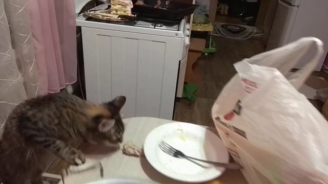 Кошка стащила курицу смотреть онлайн