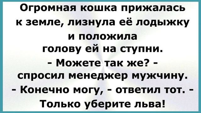 Стоит лев перед зайцем в чёрных очках и держит в руках две таблетки. Сборник Смешных Анекдотов! 668 смотреть онлайн