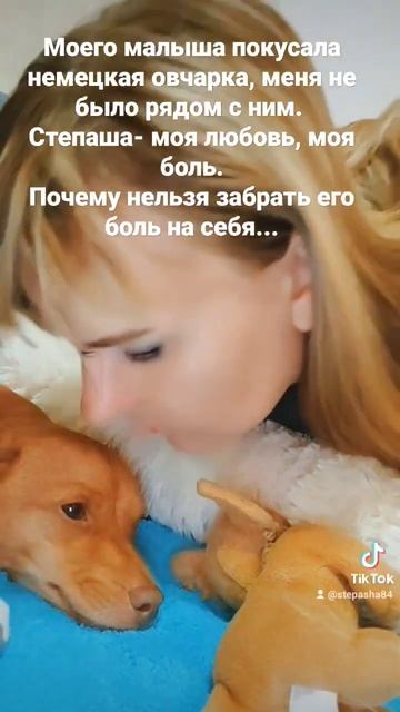 Ну почему большие собаки загрызают людей, маленьких собак? Почему такая агрессия??? смотреть онлайн