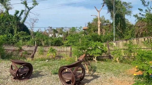 Container Van Coffee Shop Update after typhoon смотреть онлайн