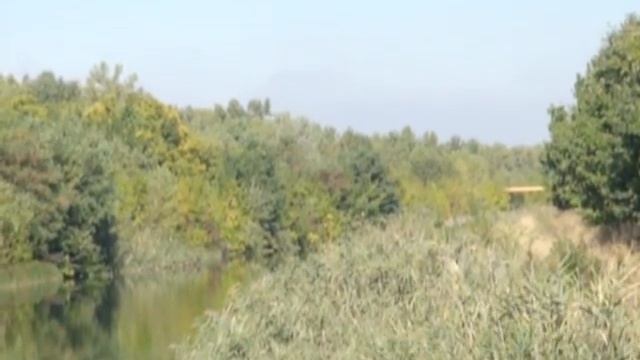 Затримання зловмисників які незаконно збагачувались шляхом вирізання телефонних кабелів. смотреть онлайн