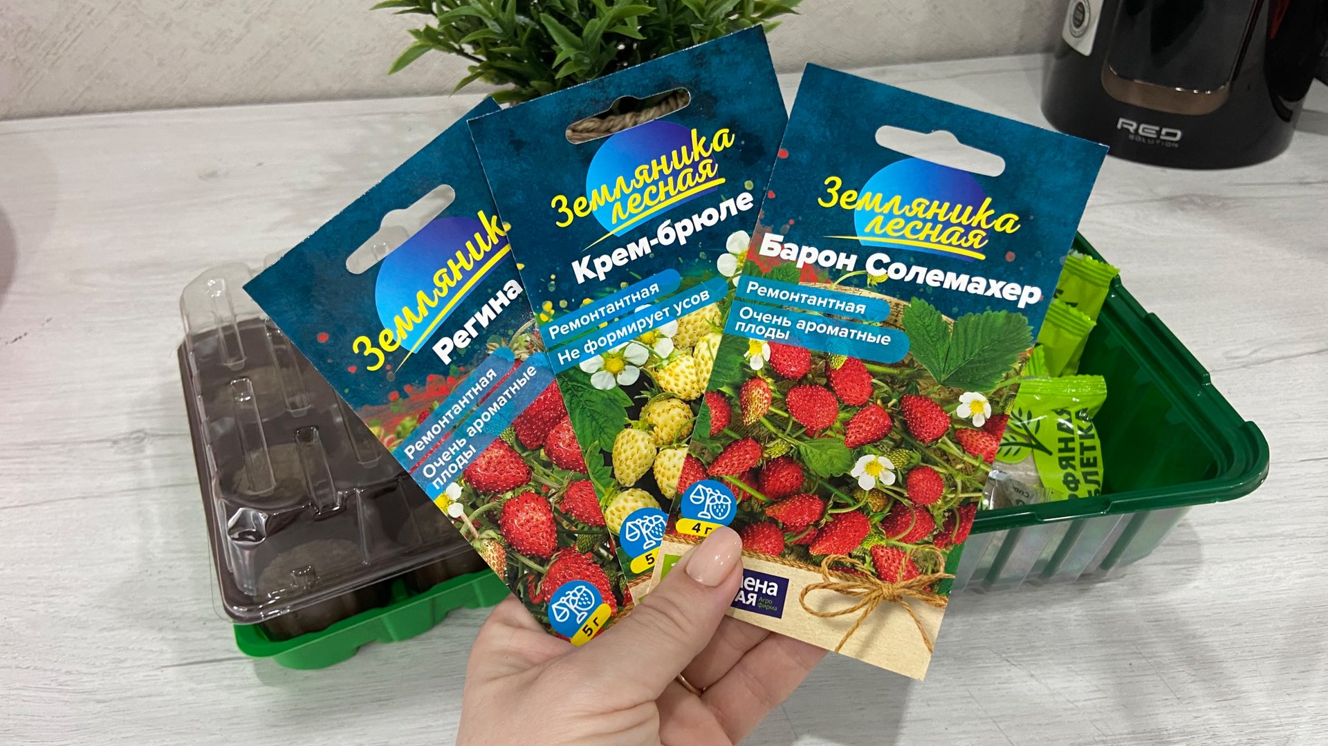 Сею землянику тремя способами. смотреть онлайн