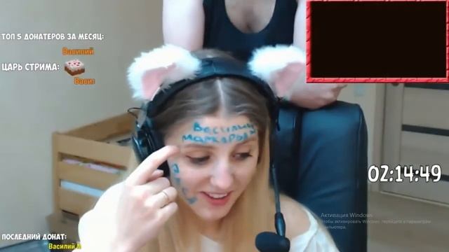 кошка показала живот на стриме смотреть онлайн