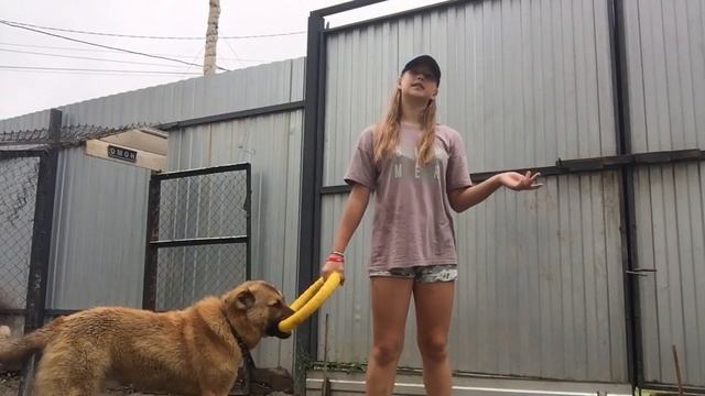 Что такое пуллер. Для чего он смотреть онлайн