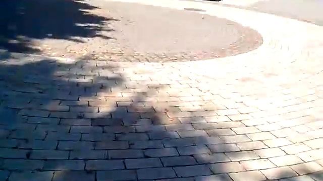 Пеший 15 км марафон по Киеву.