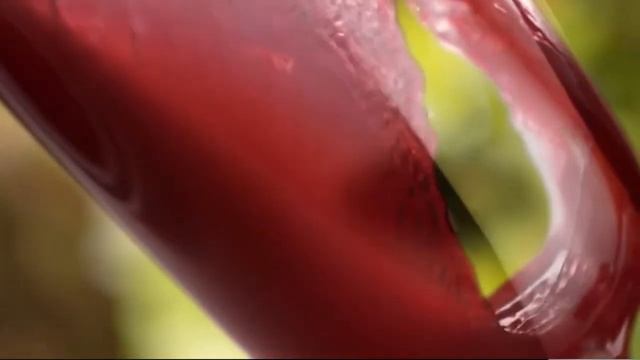 Сок Нури Зулол смотреть онлайн