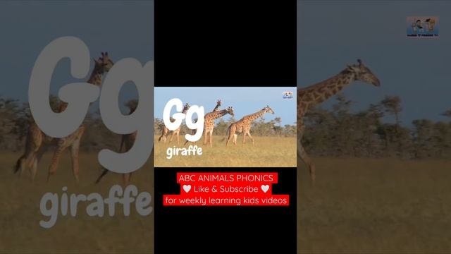 Hi we’re a New Educational Kids Channel ! ABC phonics videos for children 🤍 смотреть онлайн