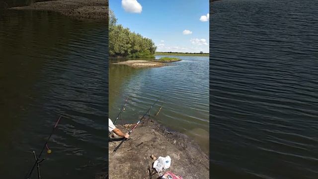 Рыбалка ...карась 4 кг /// fishing crucian 4 kilogrammes смотреть онлайн