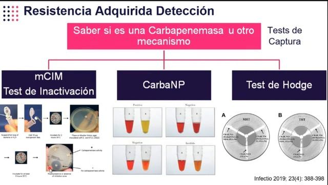 Carbapenémicos y Carbapenemasas смотреть онлайн