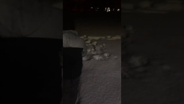 Салют