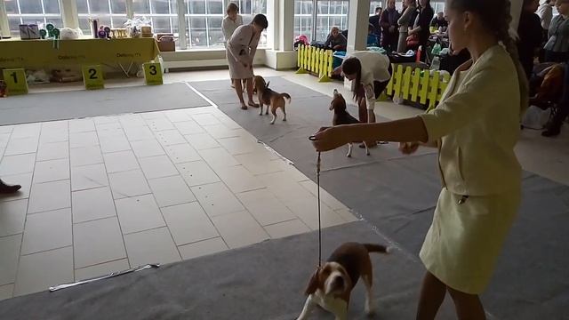 Монка Питер февр17