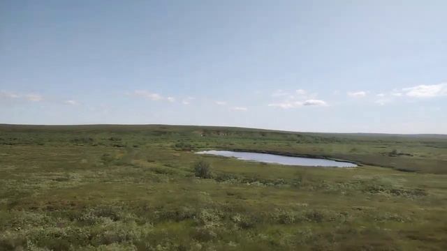 Про северное лето, примету которую сам выдумал и про дикий кустарник! смотреть онлайн