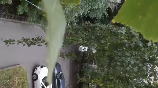 Квадрик минус смотреть онлайн