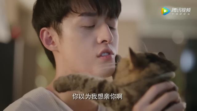【微电影】丈夫選擇懷孕小三拋棄原配，怎料竟發現孩子不是他的，瞬間後悔瘋狂挽留妻子#浅情人不知#最新電影#大陸電影#愛情電影 смотреть онлайн