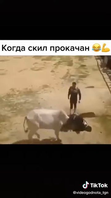 Прыжок на быка смотреть онлайн