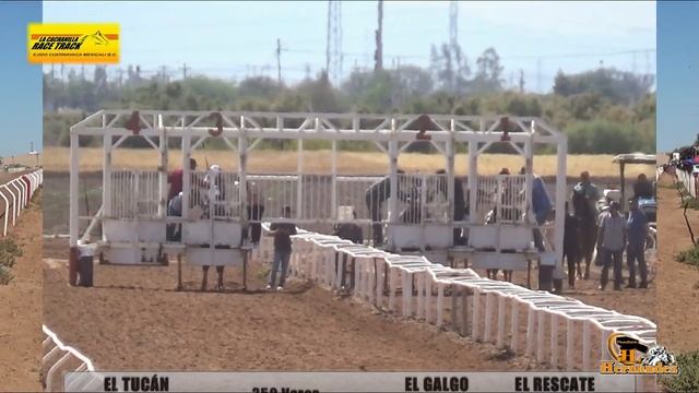 LA CACHANILLA RACE TRACK 24.5.12 19a tucan vs galgo vs rescate смотреть онлайн